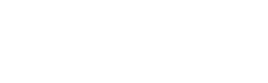 e vendi